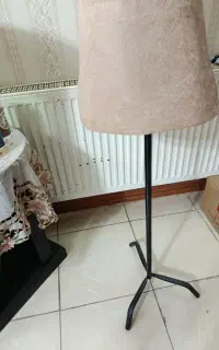 مانکن سوزن خور