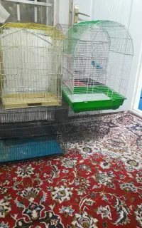 قفس پرنده