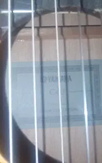 یاماها c40اصل اندوزی