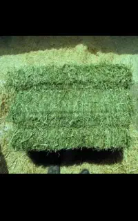 یونجه پرس شده