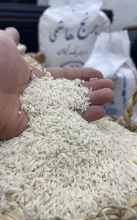 برنج هاشمی آستانه اشرفیه