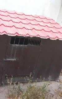 قفس سگ آهنی