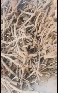 خریدچوب پسته
