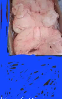 دنبه