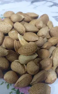 بادام کرمانشاه