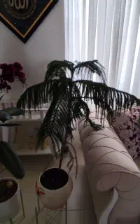 کلیه وسایل منزل
