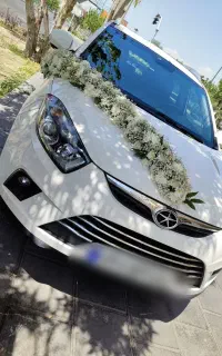 گل آرایی