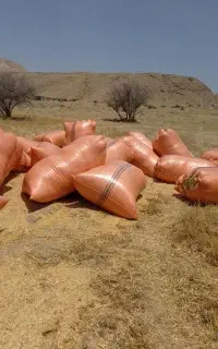 کارگر اکیپ کیسه گیری کاه فقط اکیپ