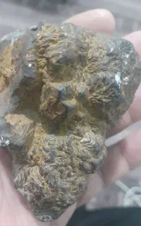 لامرد
