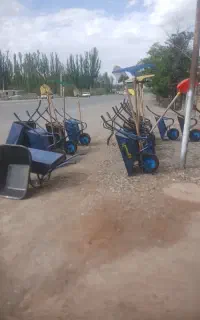 فرغون