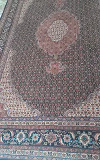 یک جفت بیجار