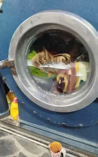 خشکشویی پاکیزان