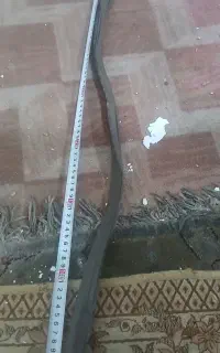 نوار در بخچال دوقلو نو اکبند