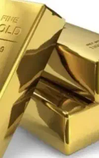 گم شده