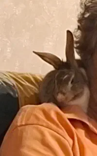 خرگوش نر ۴ماهه