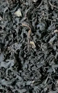 چای سرگل و قلم