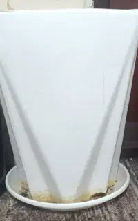 گلدان