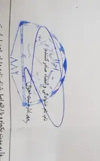 مدارک گم شده مردانی