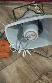 بلنگو