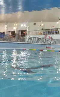 کلاس های آموزشی شنا