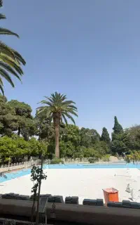 کافینت انلاین