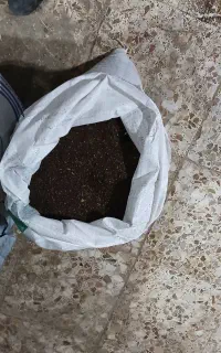 گاو  و گوسفند کنسانتره فقط ۲۷،۰۰۰ تومان
