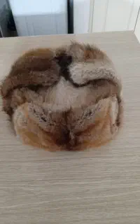 کلاپوست اصلاسمور