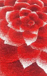 ۳تافرش ۴متری و فرش ۱۲۰در۱۱۰