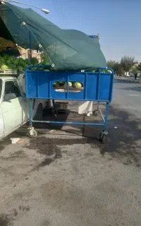 پشت وانت