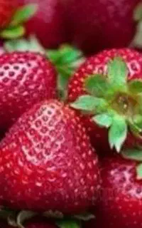 توت فرنگی درجه۱ سرباغ کیلویی۲۰۰/۰۰۰