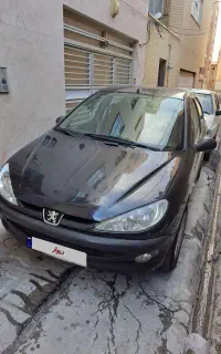 ۲۰۶ درحدمدل ۸۸