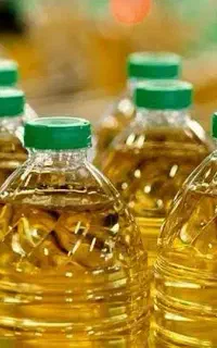 استخدام نیرو