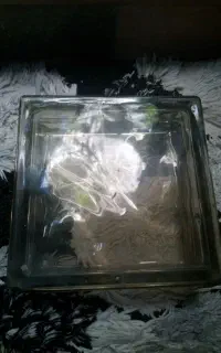 بلوک شیشه ای 20*20 سالم و در حدنو