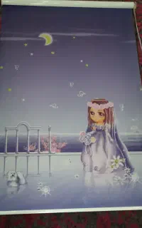 پرده زبرا دخترونه