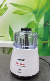 خردکن مولینکس فرانسه