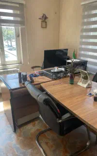 حسابدار مسلط به هلو و سامانه مودیان