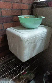 یخچال کاچویی