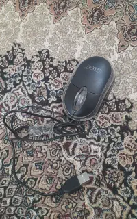 موس نو نو