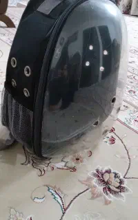 کوله پرنده وسگ وگربه