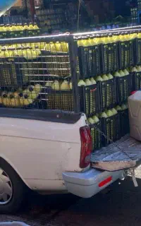 وانت تلفنی شبانه روزی