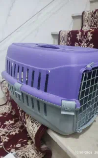 باکس سگ یا گربه سالم