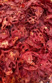 استخدام کارشناس فنی میوه خشک