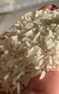 برنج طارم دمسیاه