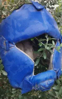 آموزش کیکبوکسینگ ویژه بانوان .خصوصی و عمومی