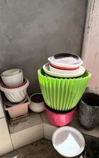 تعدادی گلدان سالم