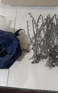 رگال تیله ای