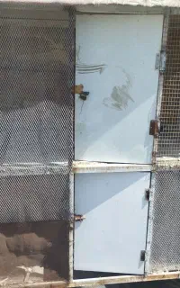 قفس پرنده