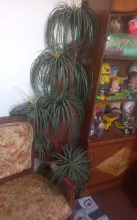 گل  مصنوعی