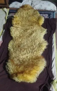 خز ماشین