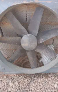 فن سالم درحدنو